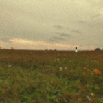 Eden Meadow