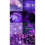 Purple rose's num