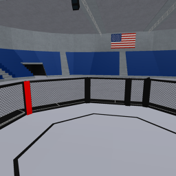Cage Warriors Main Arena