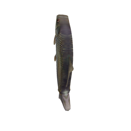 FISH