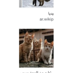 يا لِيِنَاٍِ؟