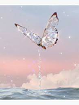 -Viv’s butterflies