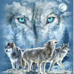 The Wolf/Friends Crew