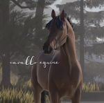 Cavallo Equine