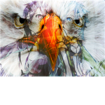 Skilled Eagles