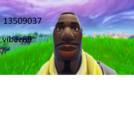 vibez69