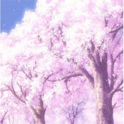 🌸Anime Sakura Vibe🌸
