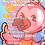Albert/Flamingo Fan group!