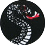 SNAKE KARATE