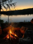 . campfire cats ! . Group Thumbnail
