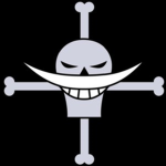 The Shirohige Pirates