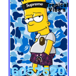 Tropical Vibe's