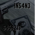 1NS4N3