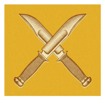 Group Assassin Team