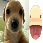 urrmonn