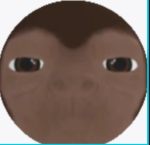 Piras