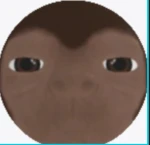 Piras Group Thumbnail