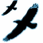 Winged Fury Clothing©