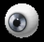 THE EYE OF JUDGEMENTS