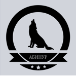 АБИНУР