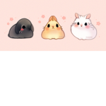 THE CHUBY BUNNNIES