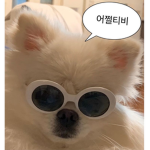 MZ - 뉴진스 하입보이