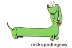 Jestem Kobietą