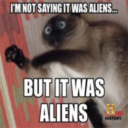 a Funny Cat Picture Roblox decal