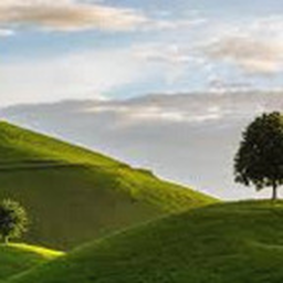 Race Your Friends Down a Hill!