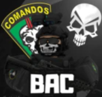 [PBML] Professional Brazilian MPS League