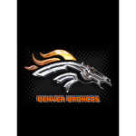 Denver Broncos Fan Group