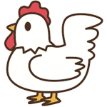 | Chicken Studio |