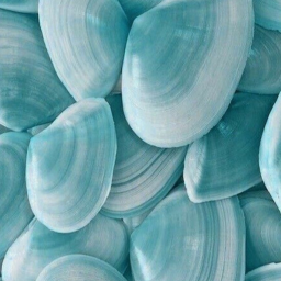 ⭒  ☆