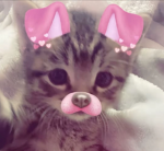 Nai_pretty7914