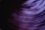 [[-Wandering Midnight-]]