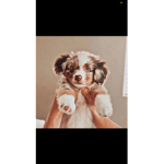 ~aesthetic~liv