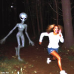 Dodge - Test servers