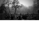 ||I. DREAMING .I||