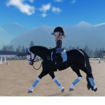 Horse friends and other animals