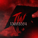 无 TW