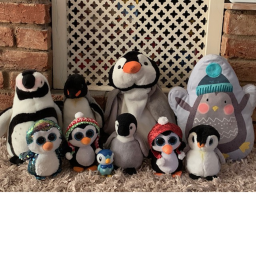 The Penguin hangout