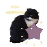 asya supremacy