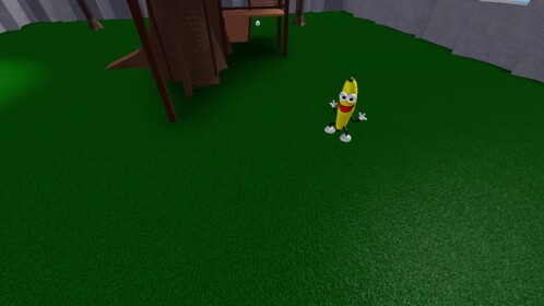 Life of an egg 