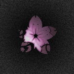 Purified Sakura