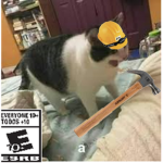 la ciudad GATO LOCA games
