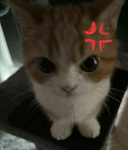 ZepSey