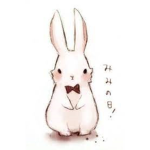bunnies vs cat