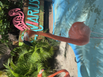 Flamingo Friends 1