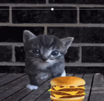 BBORGER