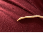 Fries take over
